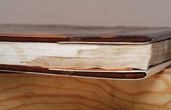 Books Gone Bad-Identification